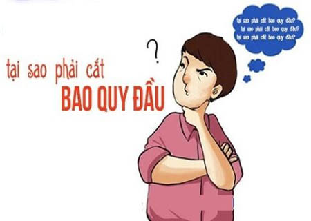 tại sao phải cắt bao quy đầu