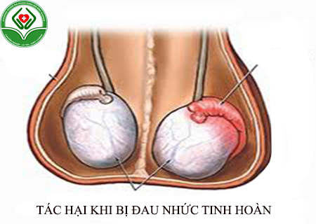 Tác hại khi bị đau nhức tinh hoàn