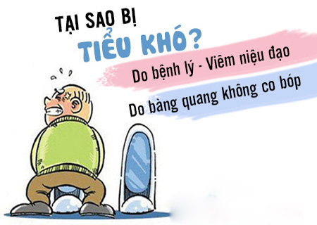 Đái khó do nhiều nguyên nhân gây ra
