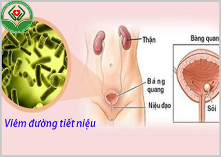 nguyên nhân dẫn đến hiện tượng đái ra máu