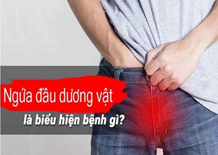 Ngứa dương vật là dấu hiệu của nhiều bệnh nguy hiểm